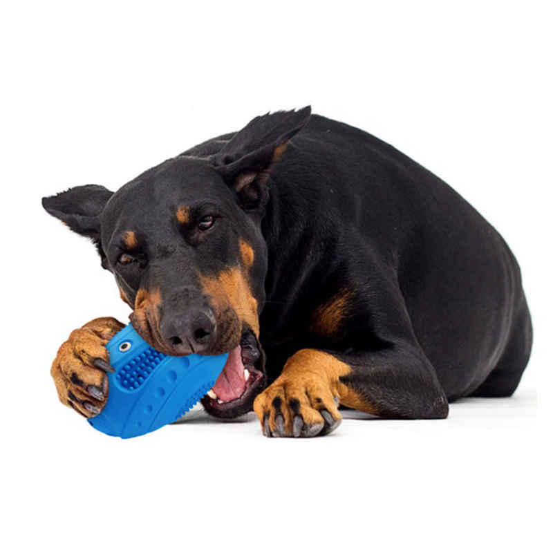 dog chew football toys