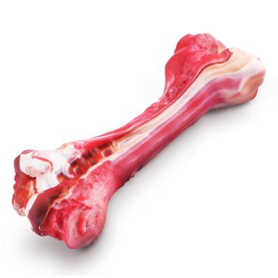 Nylon bone Chew Toy