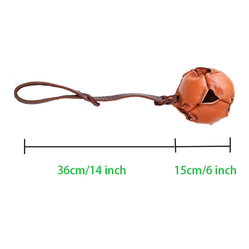 Dog Training Leather Chew ball