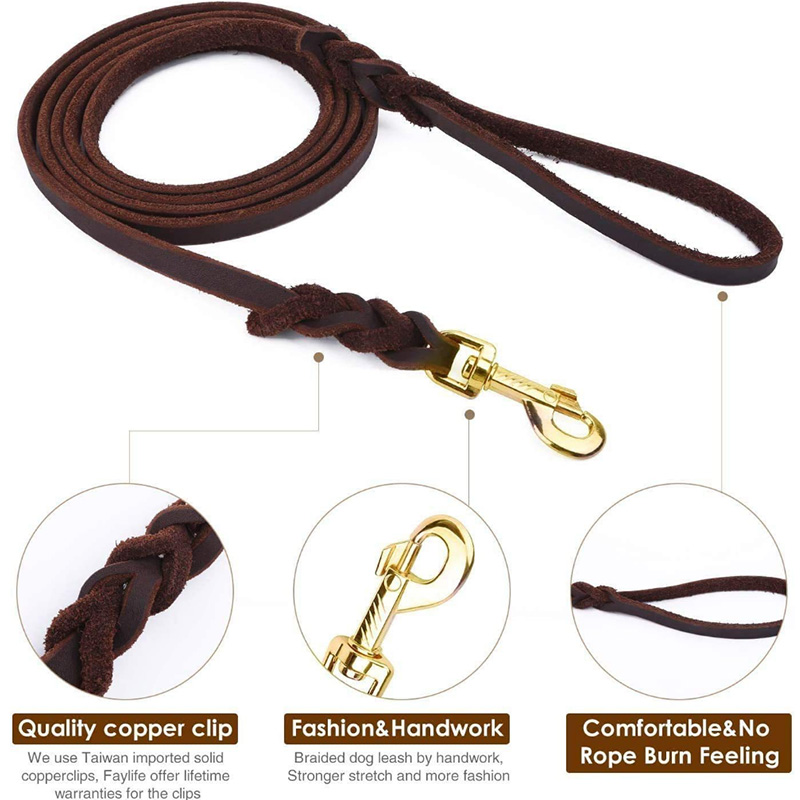 Premium Leather Dog Leash with Handcrafted Design