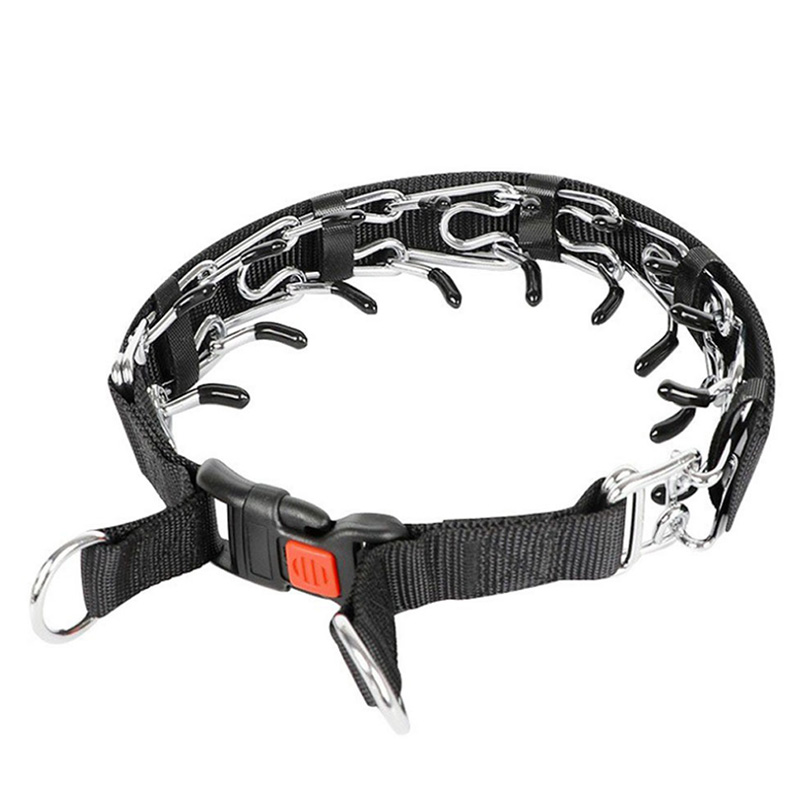 Prong Collar for Dog Training Enhanced Behavior and Control