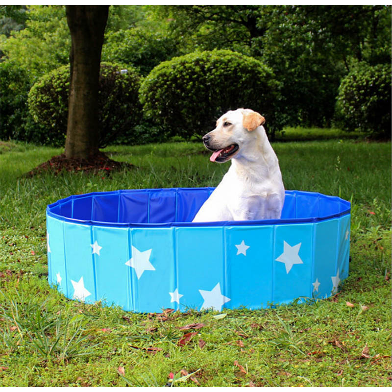 Big Pets dog swimming pool