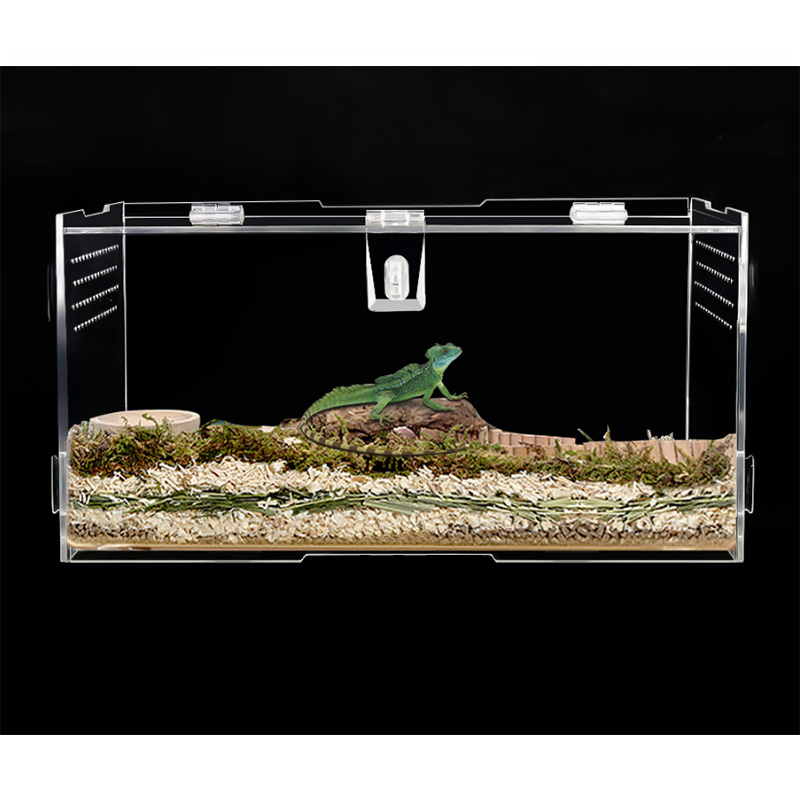 Reptile Terrarium tank