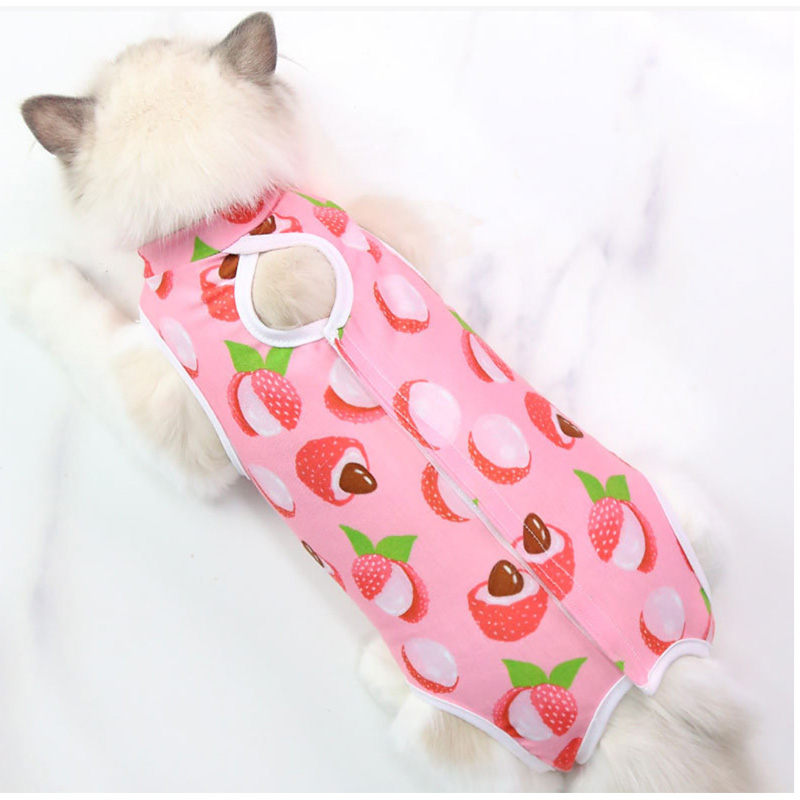 Cotton Cat Recovery Suit