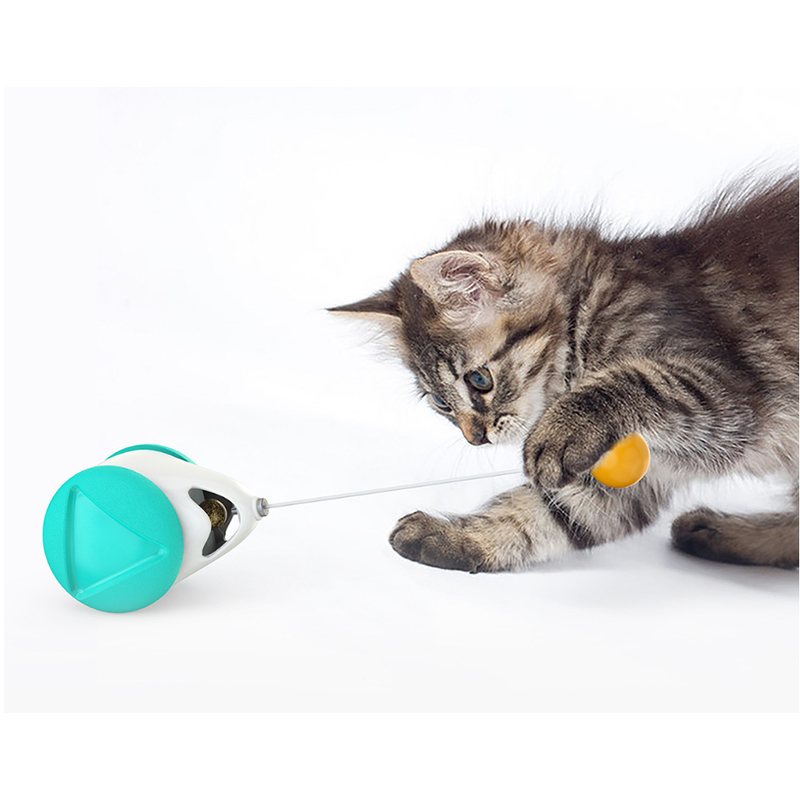 Balanced Cat Interactive Toy