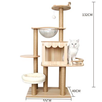 cat tree