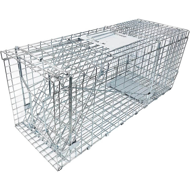 Foldable Humane Catch and Release Live Animal Trap Cage