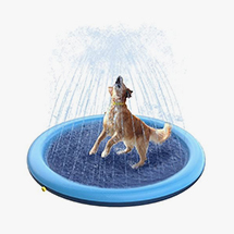 Dog Pools